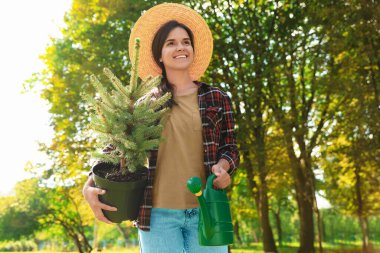 Young woman holding pot with conifer tree and watering can in park on sunny day