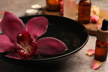 Bowl of essential oil and beautiful flower on grey table, closeup. Aromatherapy treatment