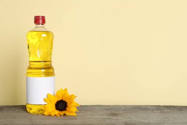 Bottle of cooking oil and sunflower on wooden table, space for text