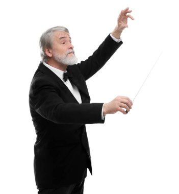 Beyaz arkaplanda batonu olan profesyonel iletken