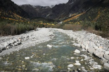 Picturesque view of river in mountains with forest on autumn day