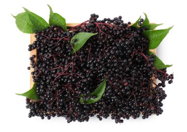 Crate with ripe elderberries and green leaves isolated on white , top view