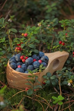 Taze yaban mersini ve yabanmersini dolu ahşap bardak.