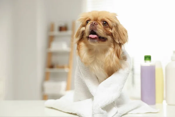 Cute Pekingese dog with towel in bathroom, space for text. Pet hygiene