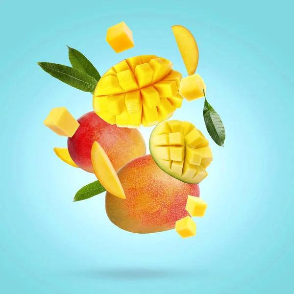 Delicious mango fruits and leaves falling on turquoise background