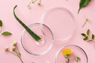 Petri dishes with different plants and cosmetic product on pink background, flat lay