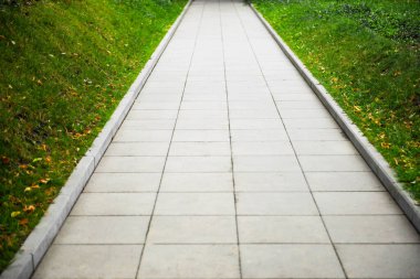 View of sidewalk path and fresh green grass on sunny day. Footpath covering