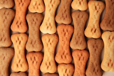 Bone shaped dog cookies as background, top view