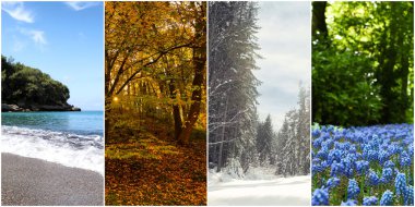Four seasons. Collage design with beautiful photos of nature