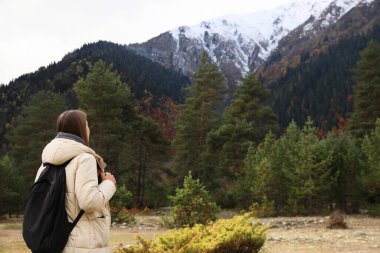 Woman with backpack in beautiful mountains, back view