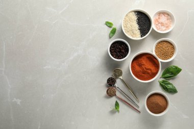Bowls and spoons with different spices on light grey marble table, flat lay. Space for text