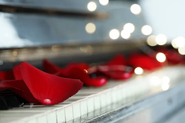 Many Red Rose Petals Piano Keys Blurred Festive Lights Closeup — Fotografia de Stock