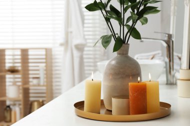 Beautiful plant in vase and burning candles near vessel sink on bathroom vanity