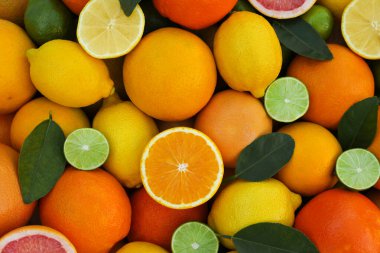 Many different whole and cut citrus fruits as background, top view