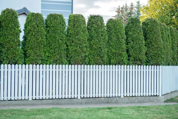 House and trees behind white wooden fence outdoors