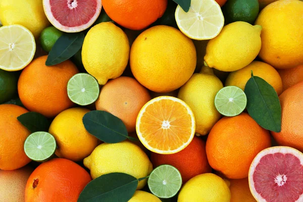 さまざまな種類の柑橘類を背景にカットし トップビュー — ストック写真
