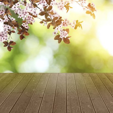 Bahar ağacı dallarının altında boş ahşap bir zemin ve bulanık yeşil arka planda güzel çiçekler.