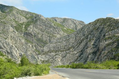 Yol kenarındaki güzel dağların ve bitkilerin manzarası.