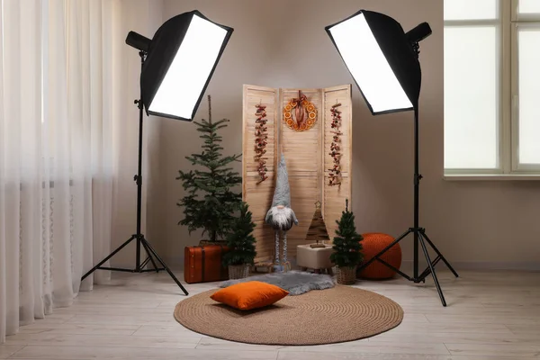 Beautiful Christmas themed photo zone with professional equipment, trees and dwarf in room