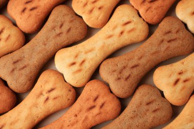 Bone shaped dog cookies as background, top view