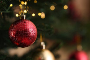Red Christmas ball hanging on fir tree branch against blurred background, closeup. Space for text