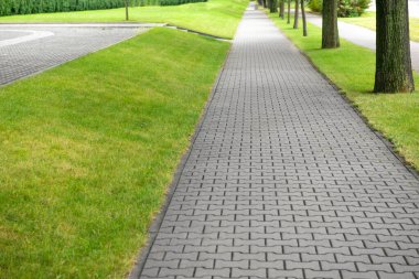 View of sidewalk path and fresh green grass on sunny day. Footpath covering
