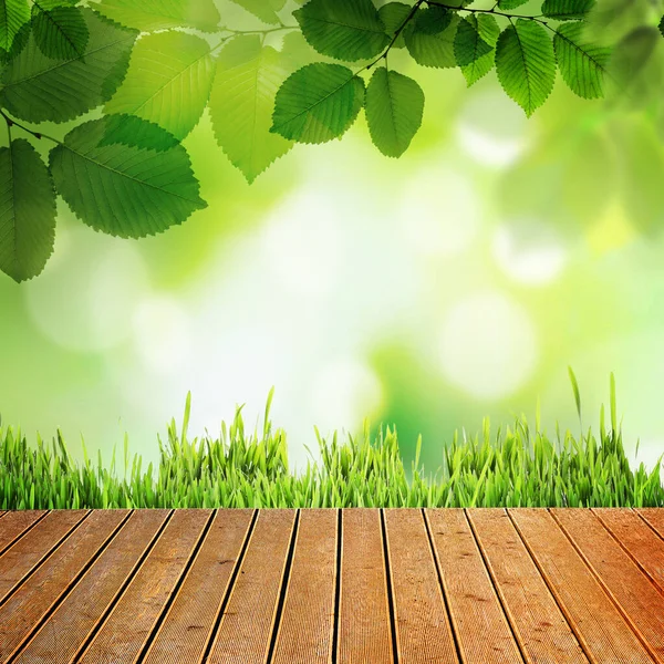 Spring season. Empty wooden surface under tree branches near fresh green grass