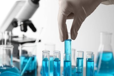 Scientist taking test tube with light blue liquid in laboratory, closeup