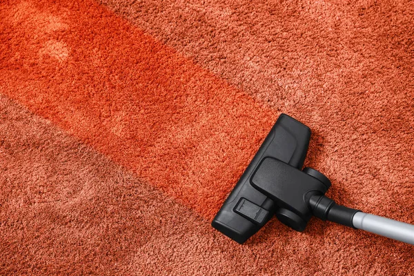 Vacuuming carpet. Clean area after using device, top view