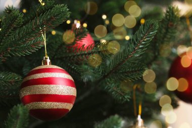 Köknar ağacının dalında asılı güzel Noel balosu, yakın plan.