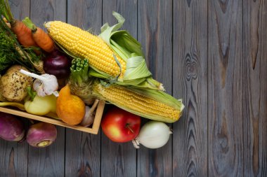 Different fresh vegetables on wooden table, flat lay with space for text. Farmer harvesting