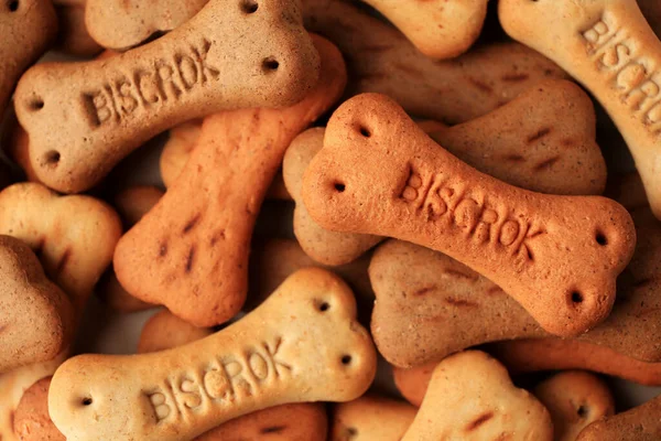 Bone shaped dog cookies as background, top view