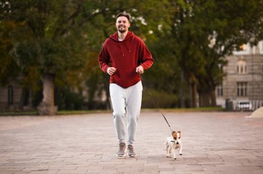 Jack Russell Terrier ile caddede koşan adam. Köpek gezdirme