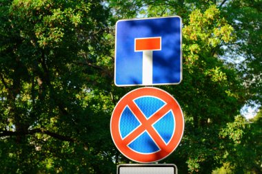 Road signs No Stopping and Dead End outdoors near trees on sunny day