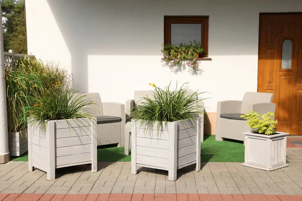 Big wooden pots with beautiful plants near stylish armchairs on terrace