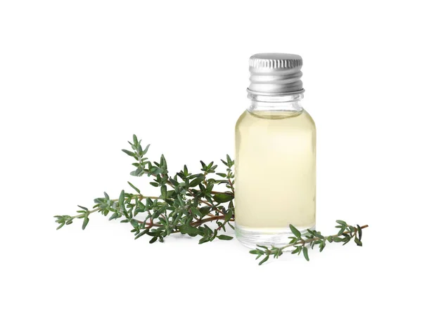 Bottle Thyme Essential Oil Fresh Plant Isolated White — Stock fotografie