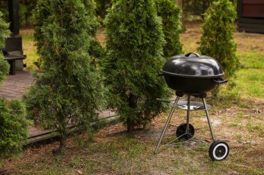 New barbecue grill near green trees in garden