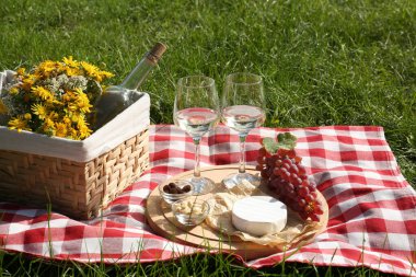 Glasses of white wine and snacks for picnic served on blanket outdoors