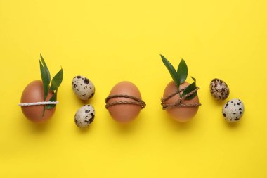 Easter eggs decorated with green leaves on yellow background, flat lay