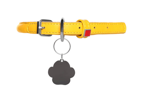 Yellow leather dog collar with tag isolated on white