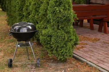 New barbecue grill near green trees in garden