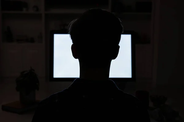 Teenage boy using computer at night, back view. Internet addiction