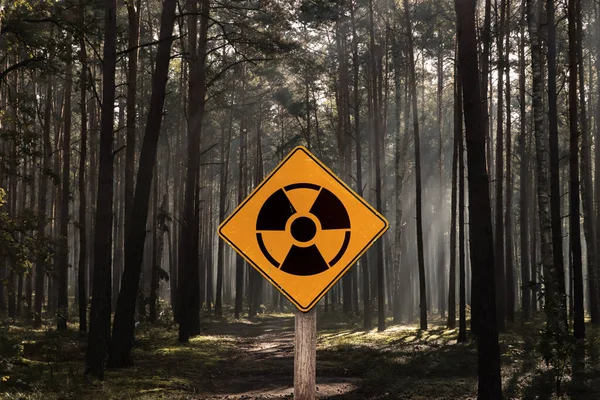 Radioactive pollution. Yellow warning sign with hazard symbol near contaminated area in forest