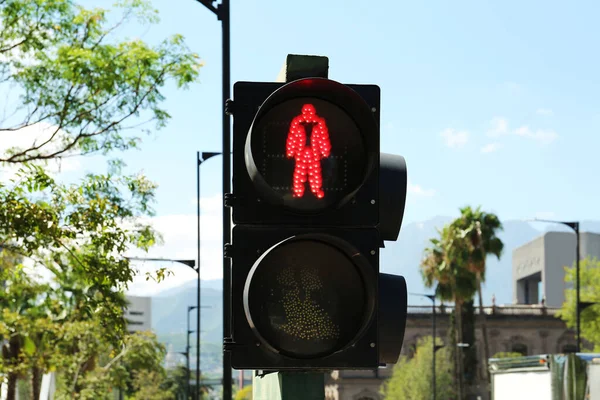 Traffic light on city street. Road rules