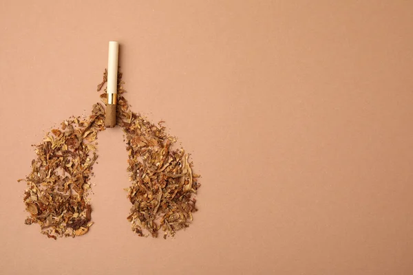 Smoking Concept Lungs Made Dry Tobacco Cigarette Brown Background Flat — Stock Photo, Image