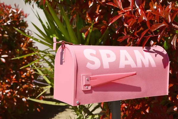 Pink letter box with word Spam near plants outdoors