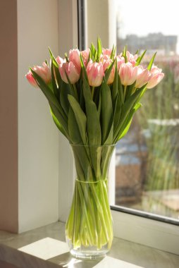 Spring is coming. Bouquet of beautiful tulip flowers in glass vase on windowsill indoors