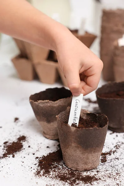 Little girl inserting card with name of vegetable seeds into peat pots at white table, closeup