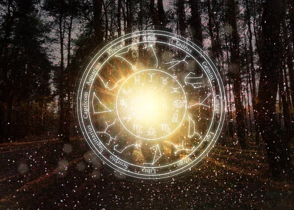 Zodiac wheel with 12 astrological signs and star constellations and forest landscape on background