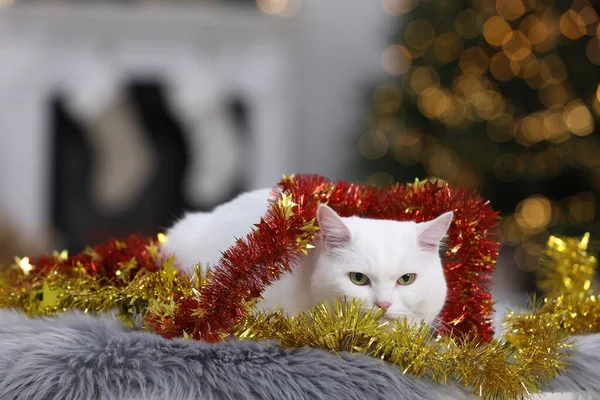 Cute cat with Christmas tinsel lying on fur rug in cosy room. Space for text